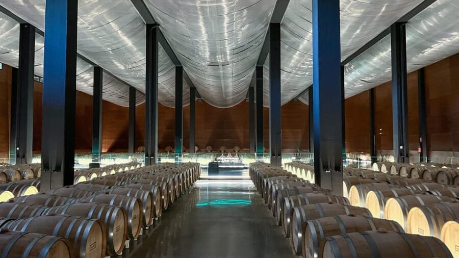 Cáceres: Bodegas Habla - What the Tour Includes: Inside the Winery and Tasting