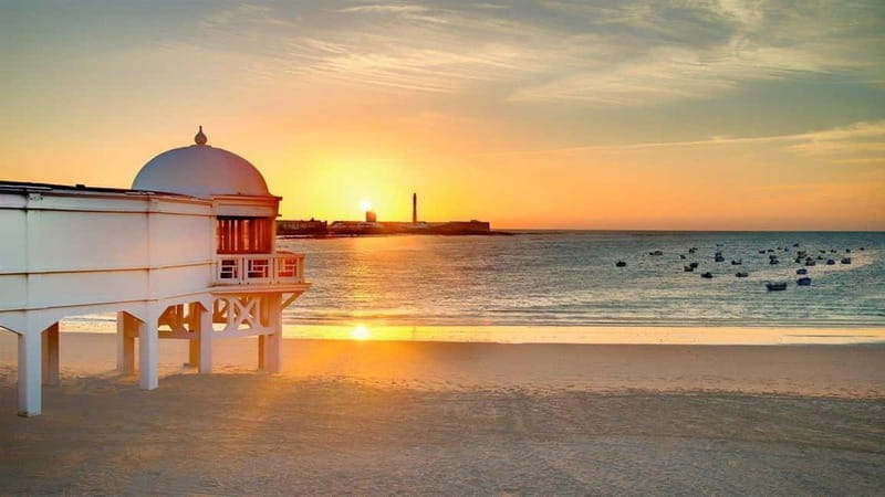 Cadiz: Private Tour with Wine Tasting - The Drive to Jerez de la Frontera: Scenic and Informative