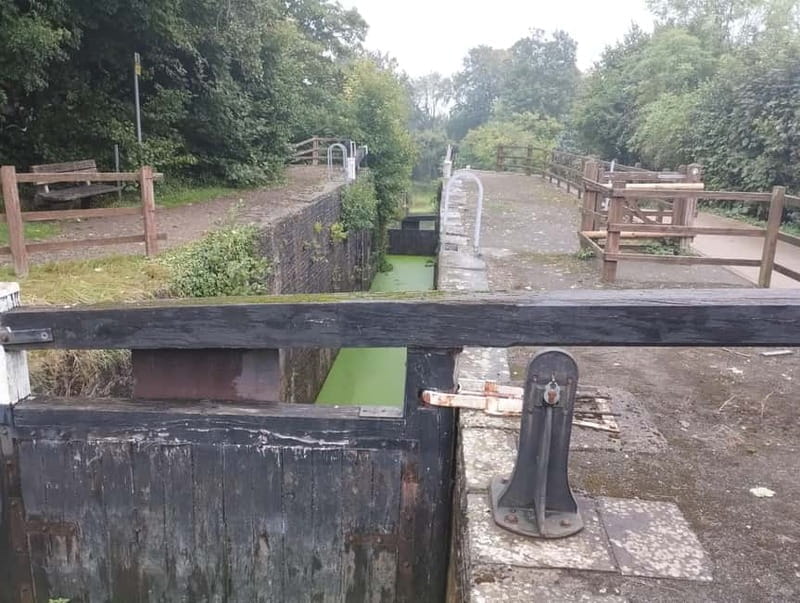 Caerleon and Newport: Roman Fortress and Historic Highlights - Scenic and Engineering Stops: Locks, Murals, and Bridges