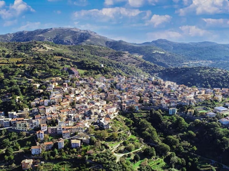 Cagliari: Blue Zone Experience Day Trip - Discovering Sardinia’s Blue Zone Secrets in a Day