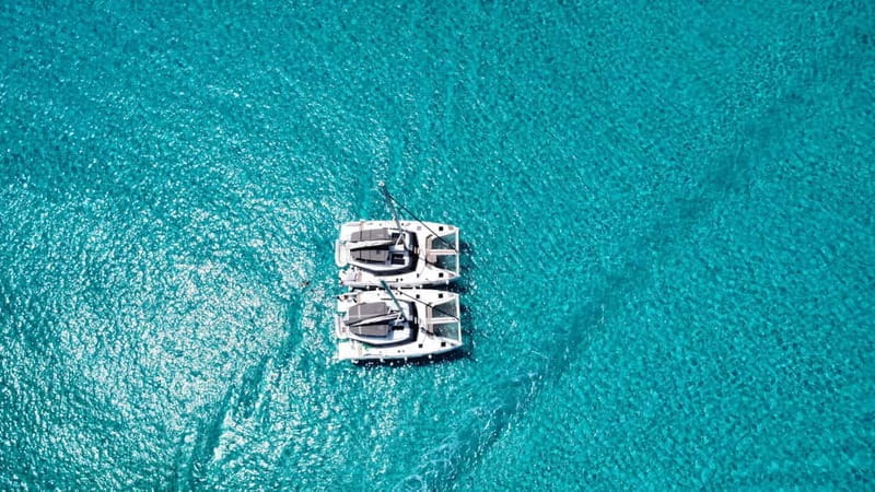 Cagliari: Catamaran Tour to the Gulf of the Angels - What To Expect: From Dolphins to Crystal Waters