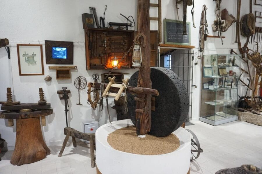 Cagliari: Exclusive Extra Virgin Olive Oil Tour at Museum - The Sum Up
