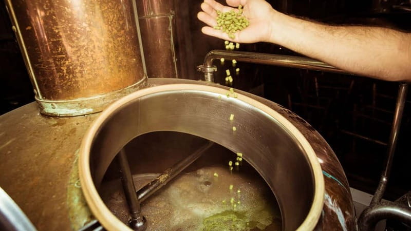 Cagliari: visit a craft brewery - Price and Logistics: Is It Worth It?
