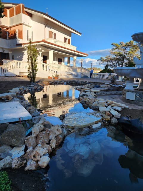 Calabria: 3-Day Bonsai Workshop with Accommodation - What to Expect from the Calabria Bonsai Workshop