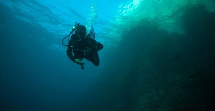 Calanques National Park Snorkel and Scuba Dive - In-Depth Look at the Tour Itinerary