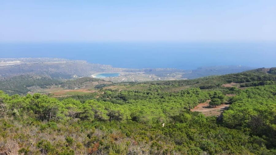 calice in cratere - The Wine Tasting: Sips Amidst Volcanoes