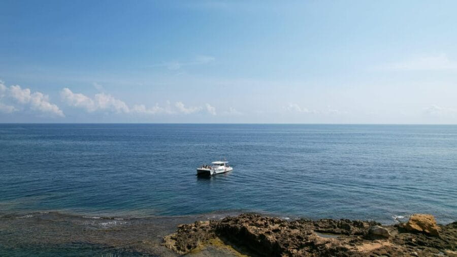 Calpe: Motor catamaran with optional lunch and swimming stop - The Optional Lunch: A Taste of Valencian Cuisine