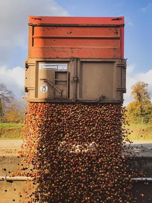 Calvados: the art of making Coquerel Calvados and Normindia Gin - Who Should Consider This Tour?