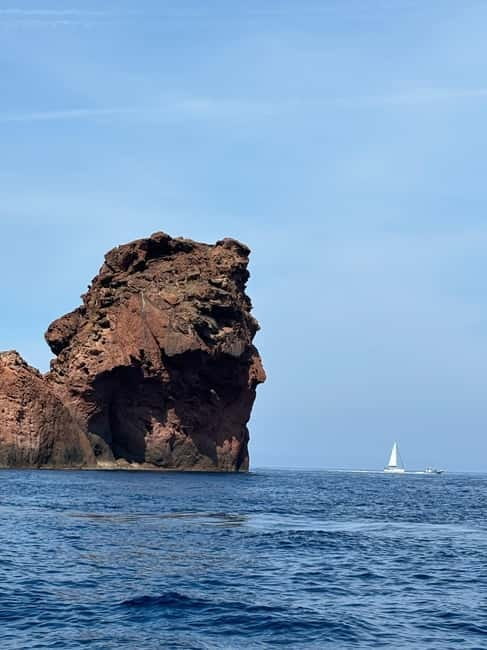 Calvi: guided tour by speedboat to Scandola - Why This Tour Stands Out in Corsica