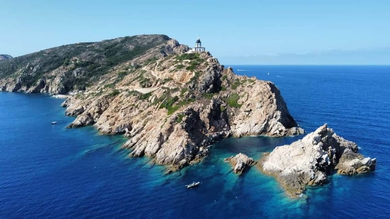 Calvi : Snorkeling Adventure by the Natural Reserve - Entering the Marine World: What to Expect