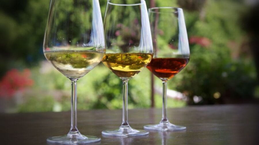 Camogli: Ligurian Wine Tasting Experience - Visiting the Old Olive Mill: The Heart of the Tasting