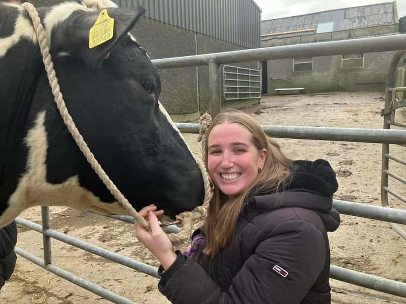 Campview Farm, Ballyshannon: Cuddle a Cow Experience - The Value of a Visit to Campview Farm