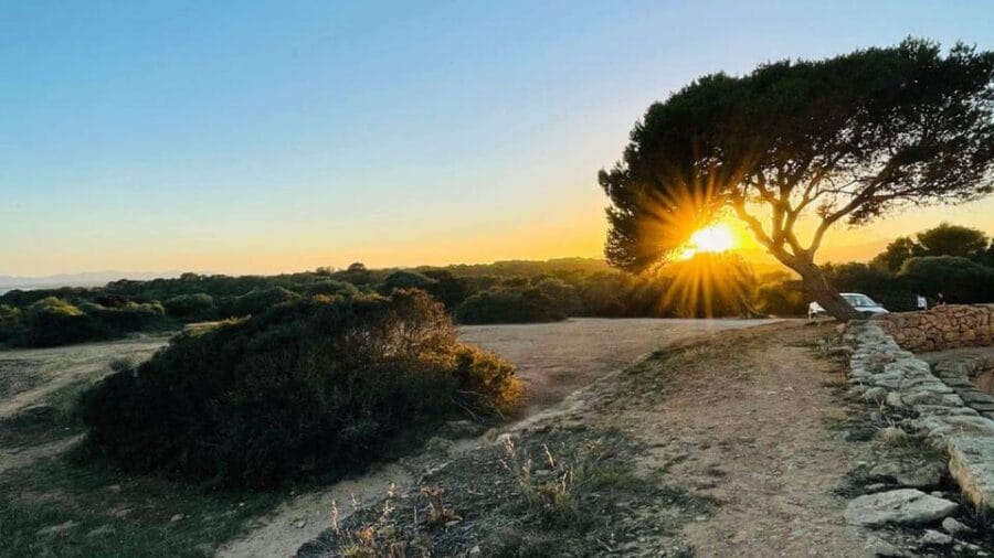 Can Picafort: FunForTwo, couple adventure game and city walk - Who Should Consider This?