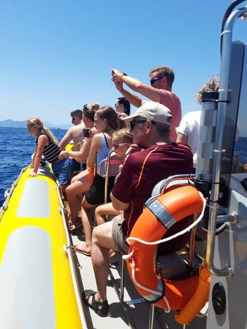 Can Picafort or Alcudia: Private boat dolphin watching - Why This Tour Stands Out