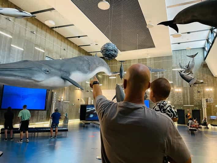 Caniçal : Madeira Whale Museum Entry ticket - Price and Practicalities: Is It Worth It?