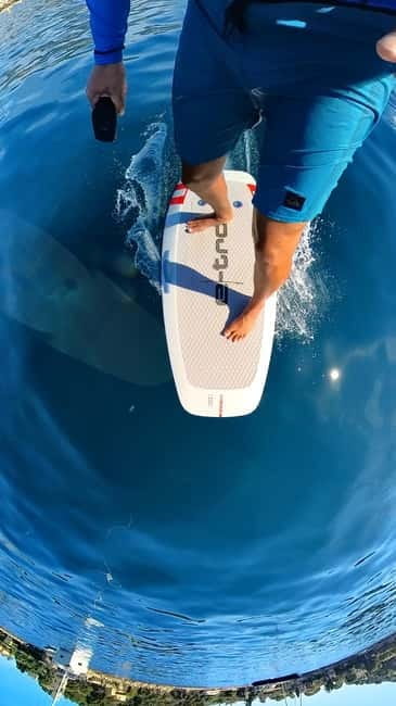 CAP D'ANTIBES: AUDI EFOIL PREMIUM EXPERIENCE - Who Should Consider This Experience