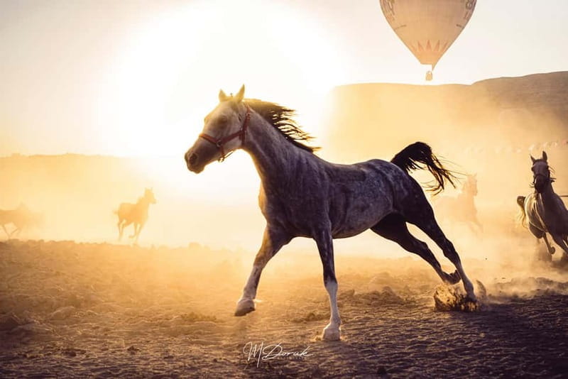 Cappadocia: Fascinating Horse Tour in Göreme Valleys - Why a Horseback Tour in Cappadocia Is Special