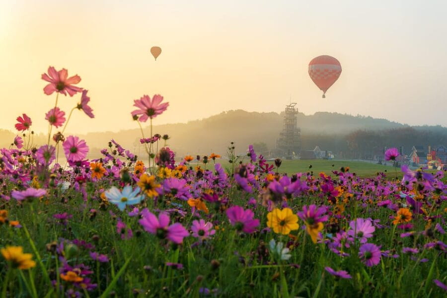 Cappadocia Full-Day Guided North Tour - Exploring Cappadocia: The Full Picture