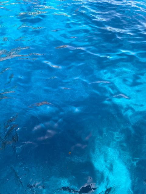 Capri: Tour of the island with caves and Faraglioni - A Closer Look at the Capri Boat Tour Experience