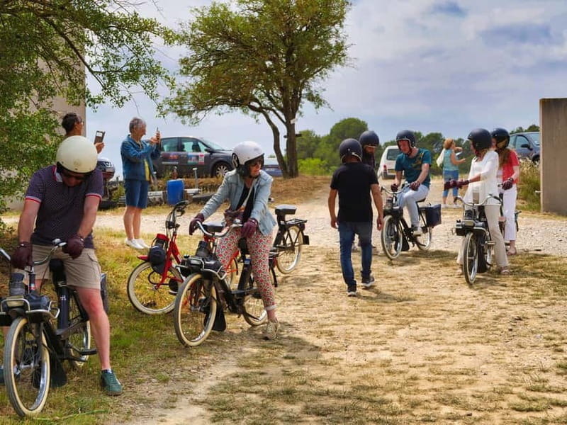 Carcassonne: Solex ride with guide and wine tasting - Scenic Route Through the Vineyards