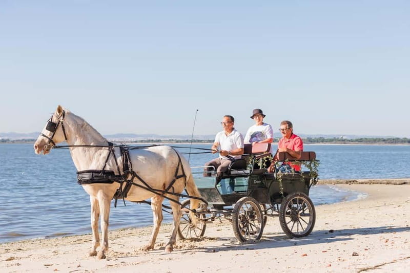 CARRIAGE Ride On The Beach (Rosário Beach) - The Journey Begins at Rua 1º de Maio