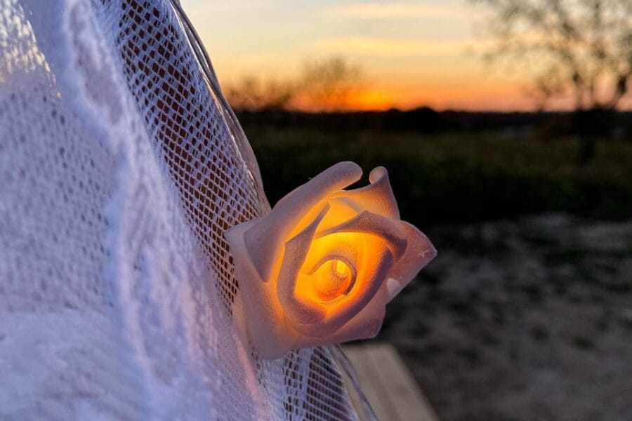 Carvoeiro, Portimão, Lagos: Algarve Romantic Vineyard Picnic - The Wine and Juice: A Perfect Match for Sunset Moments