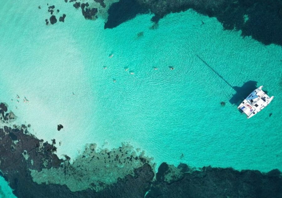 Catamaran tour Asinara island national park Buriana Charter - Why This Catamaran Tour in Asinara Stands Out