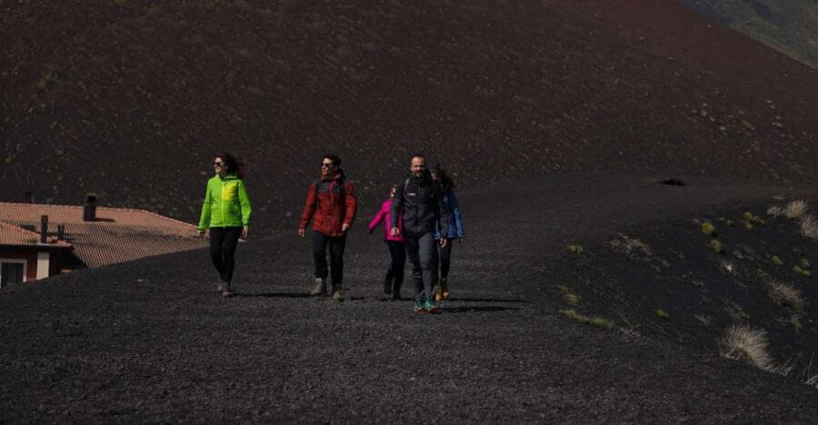 Catania: Guided Tour of Etna with Wine Tasting & Appetizers - Discovering the Heart of Mount Etna: What the Tour Entails