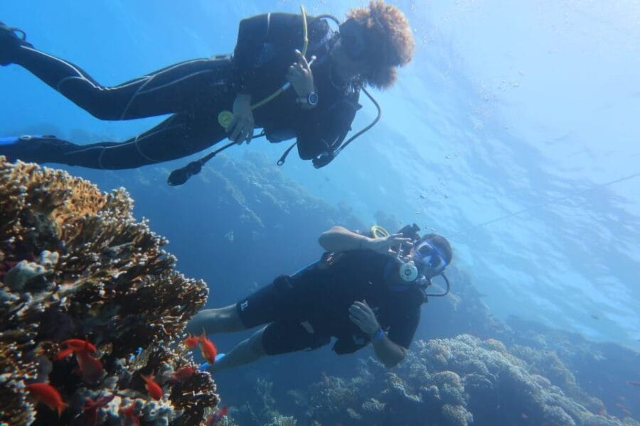 Catania: Mount Etna & Cyclopean Scuba Diving Experience - Underwater Wonders: Scuba Diving with a Marine Biologist