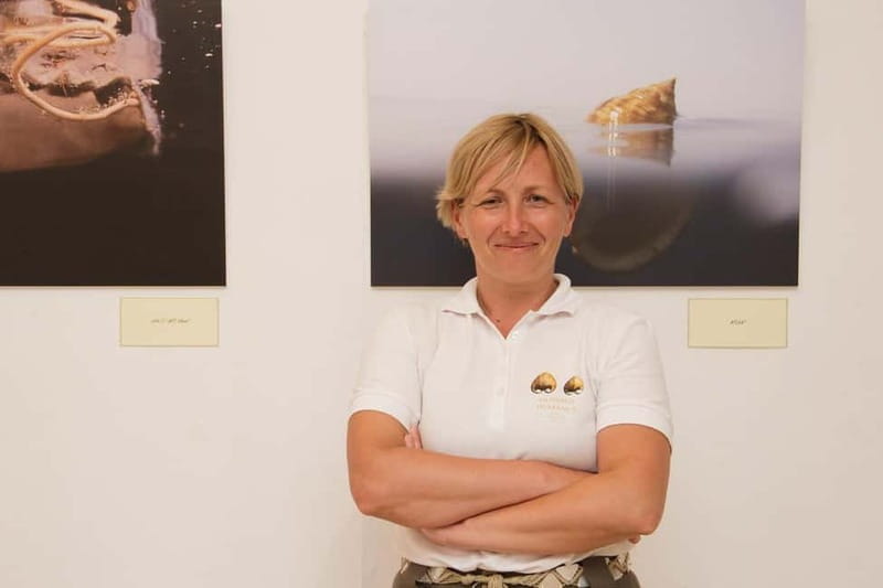 Cavtat: Shell Museum Private Guided Tour - The Collection and Its Stories