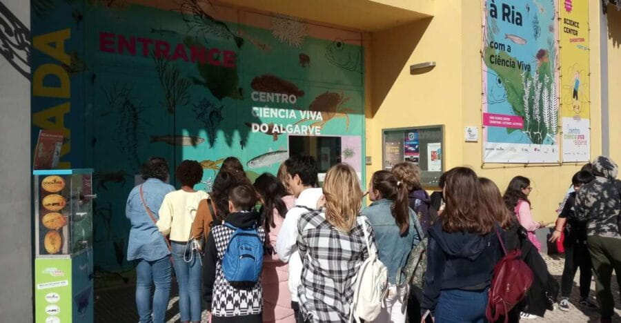 CCVAlgarve Individual Ticket - Who Should Visit?