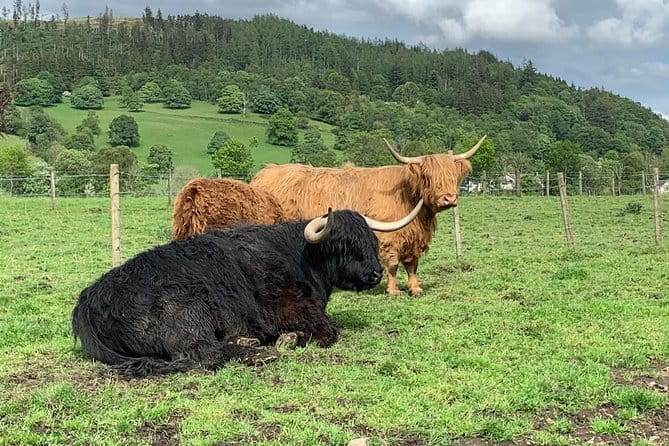 Central Highlands lochs Stirling Whisky private driving - Transportation and Comfort