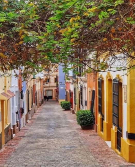 Centro histórico: un paseo por la historia. - What to Expect from the Itinerary