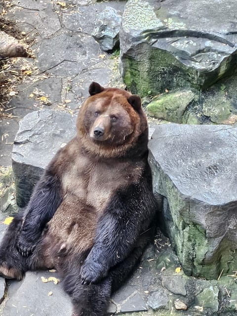 Cesky Krumlov private guided day trip - Hluboka nad Vltavou: Tales of Love and Nobility