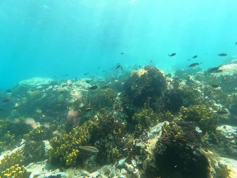 Chalkidiki: Snorkeling Adventure in Sithonia - Itinerary Breakdown: What to Expect at Each Stop