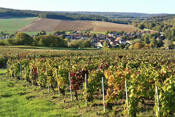 Champagne Guy De Chassey: Traditional Tour & Tasting - The Tasting: Three Glasses of Tradition