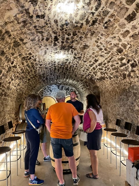 Champagne Vineyard Experience: Explore the terroir - Guided Tour: A Walk Through History and Nature