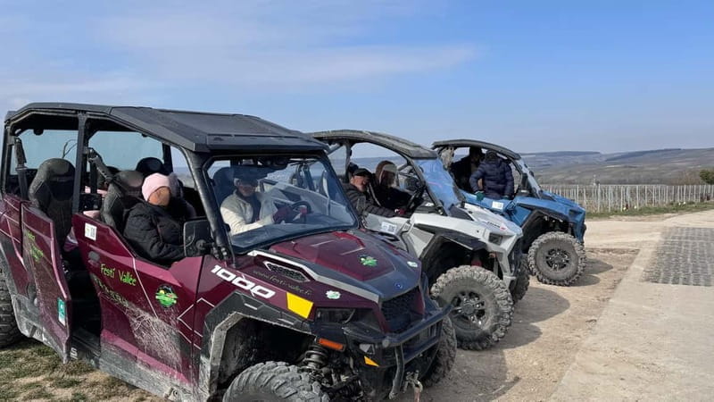 Champagne vineyards: 2-hour guided tour of the vineyards in a Buggy - Why This Tour Works: Highlights and Unique Features