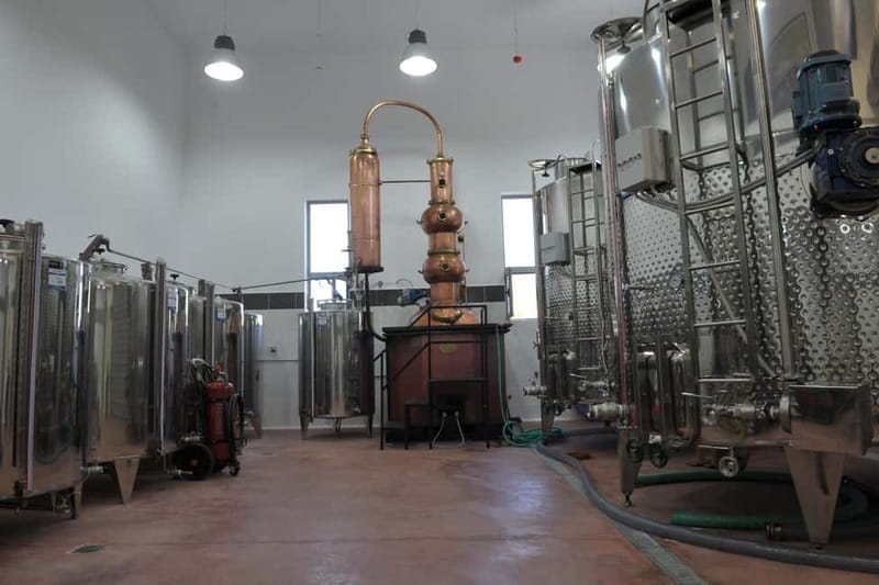 Chania: Full-Day Vineyard & Winery Private Tour w/ Tastings - Logistics and Comfort