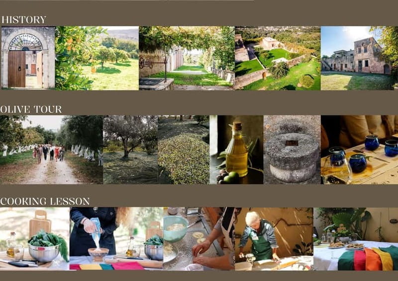 Chania: Olive Oil Tasting & Cooking Class at Metohi Istoria - Exploring Metohi Istoria: A Journey into Crete’s Heart