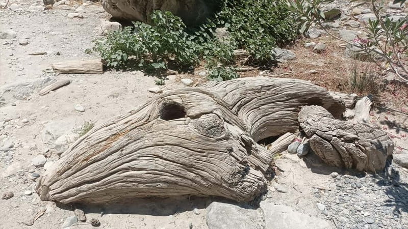 Chania: Samaria Gorge Private Transfer - Entering Samaria Gorge: An Unforgettable Day in Nature