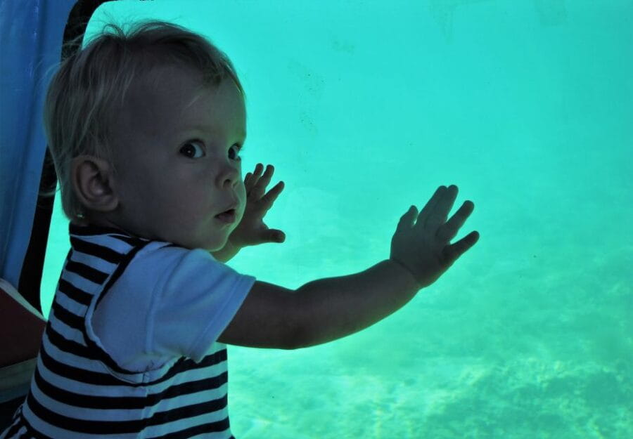 Chania: Semi-Submarine Boat Underwater Experience - Is It Worth the Price?