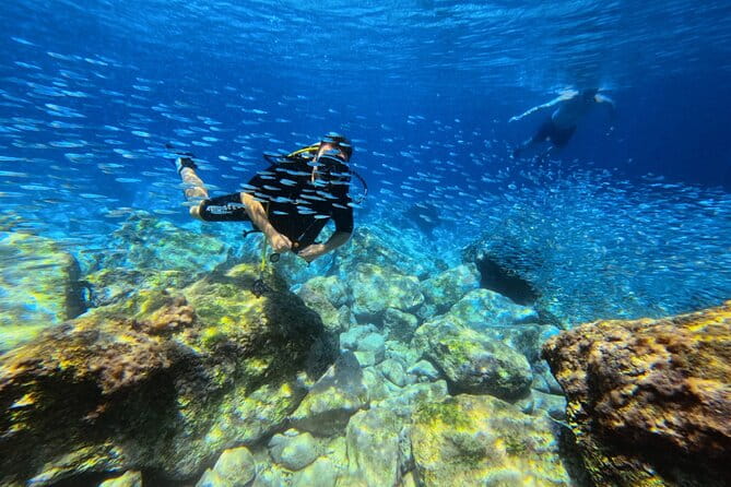 Chania | Try Scuba Diving | Private Introduction Dive - Entering the Underwater World in Almyrida