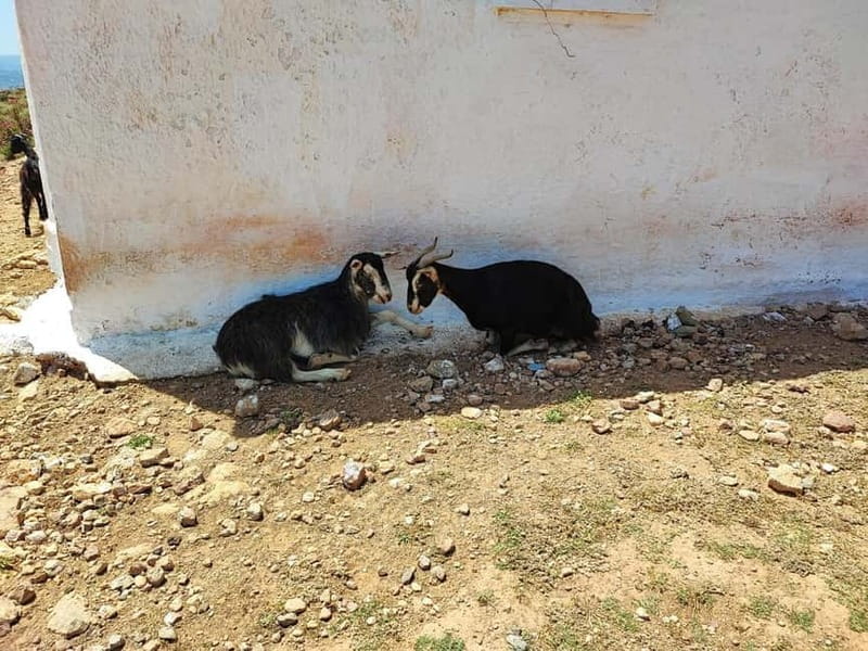 Chania:Balos&Falassarna Private Jeep Safari + Lunch&Loungers - Balos Lagoon: Panoramic Views Without the Hike