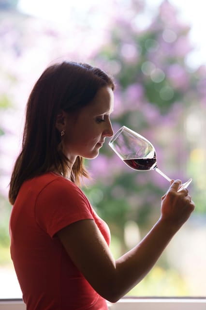 Château Olivier: One Hour Vineyard Tour with Wine Tasting - Practical Tips for Your Visit