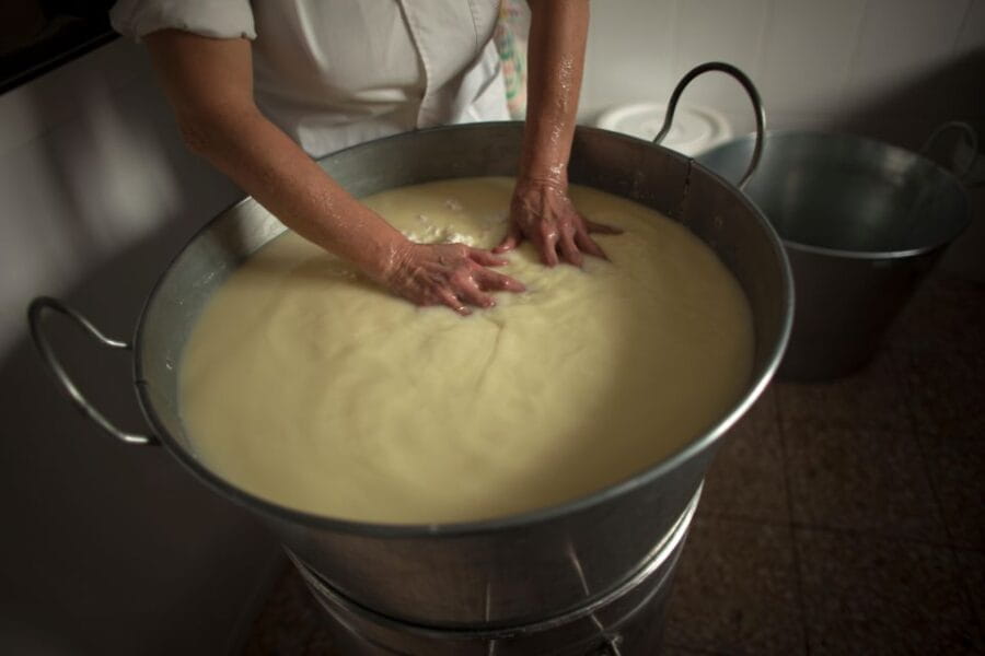 Cheese Making and Tasting Tour from Cagliari with Lunch - Who Should Consider This Tour?