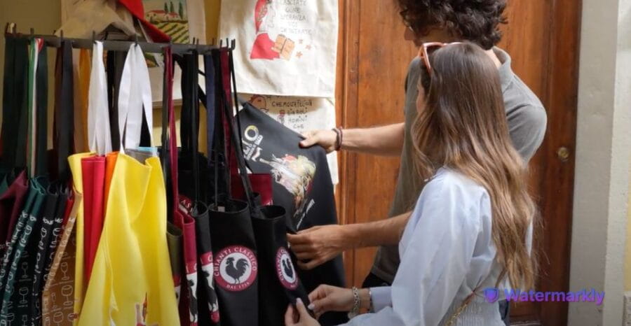 Chianti and Castles Tour From San Gimignano - The Practicalities of the Tour