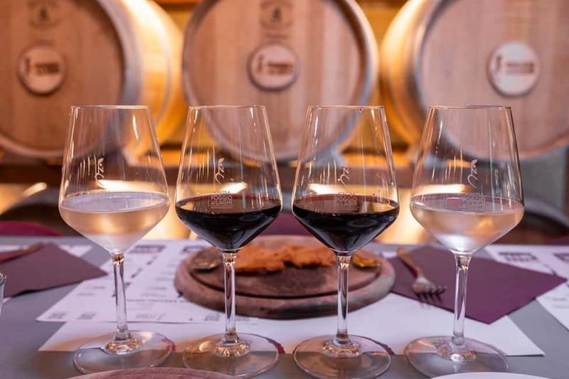 Chianti: Tuscan Vineyard Old Jeep Tour, Wine Tasting & Lunch - An In-Depth Look at the Tuscany Jeep & Wine Experience