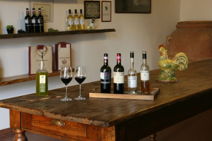 Chianti: Wine and Olive Oil Tasting with Cellar Tour - The Complete Experience: An In-Depth Review