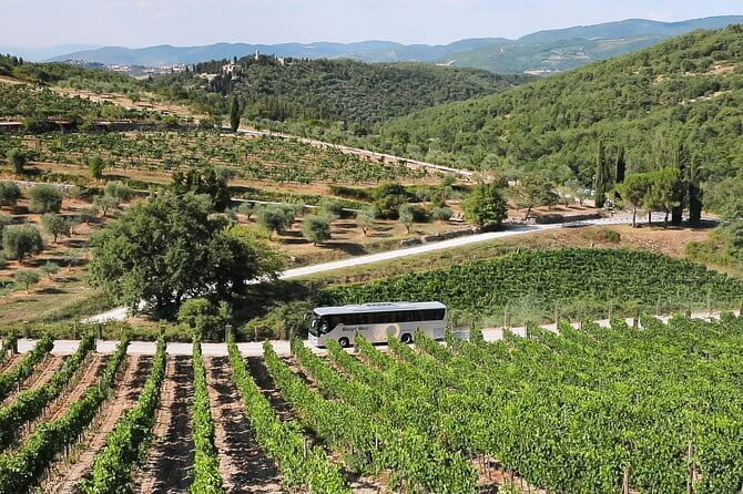 Chianti Wine Tour: Two Wine Tastings, Vineyards and Cellar Visit - Second Winery: Family-Run and Exclusive Tastings